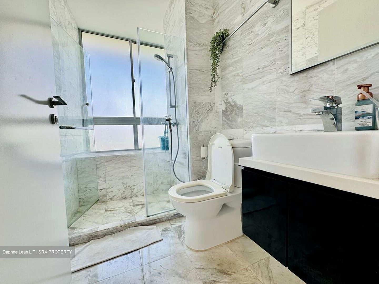 Zenith (D10), Apartment #523231521